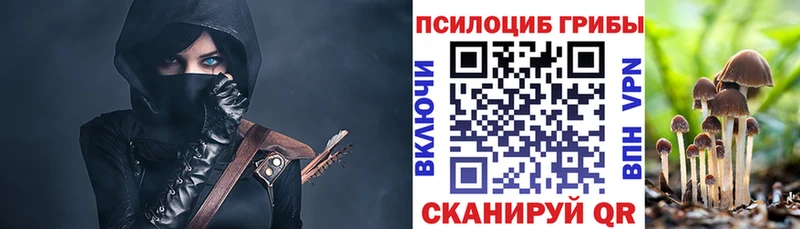 Псилоцибиновые грибы MAGIC MUSHROOMS  даркнет сайт  Хасавюрт 